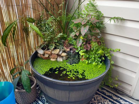 mini garden pond