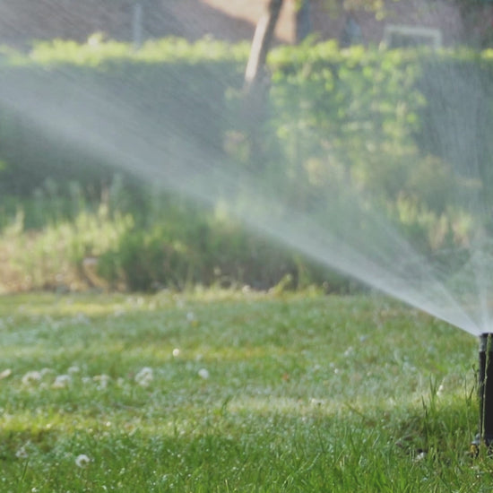 Pop up sprinkler video garden sprinklers gazon lawn